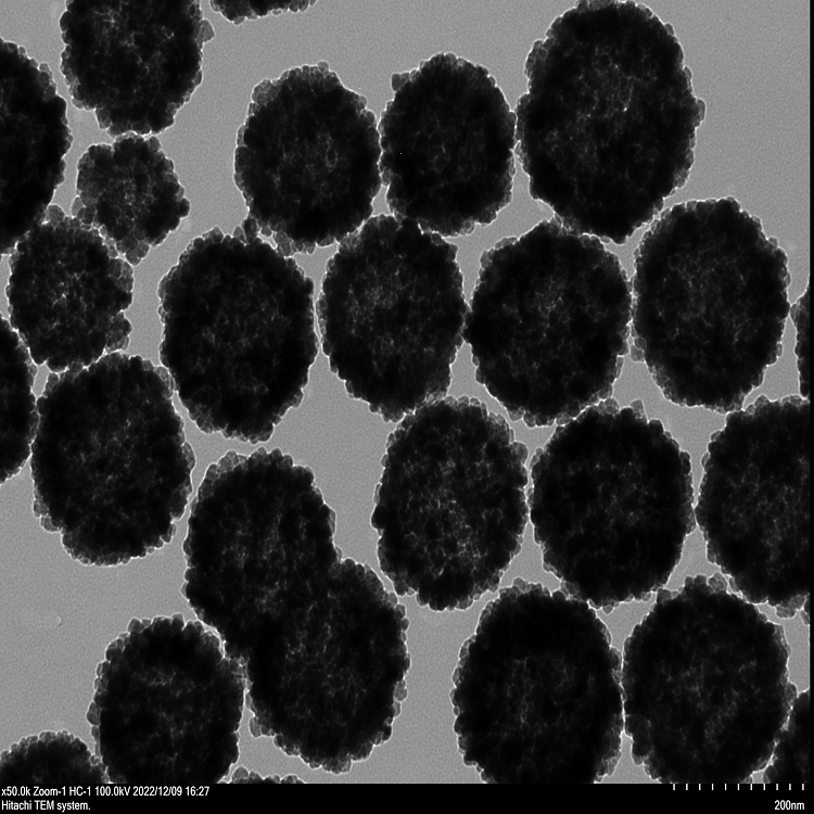 中空介孔磁性纳米颗粒