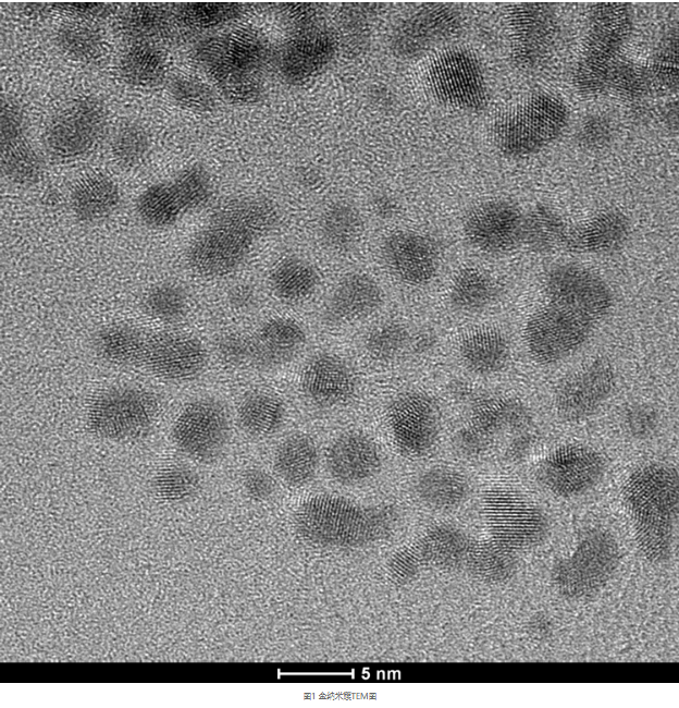 金纳米簇