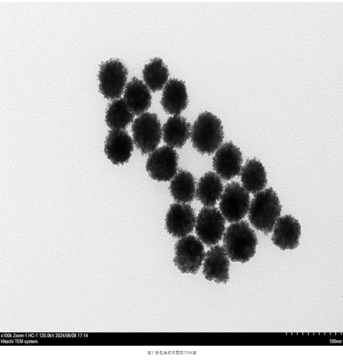 铂包金纳米颗粒