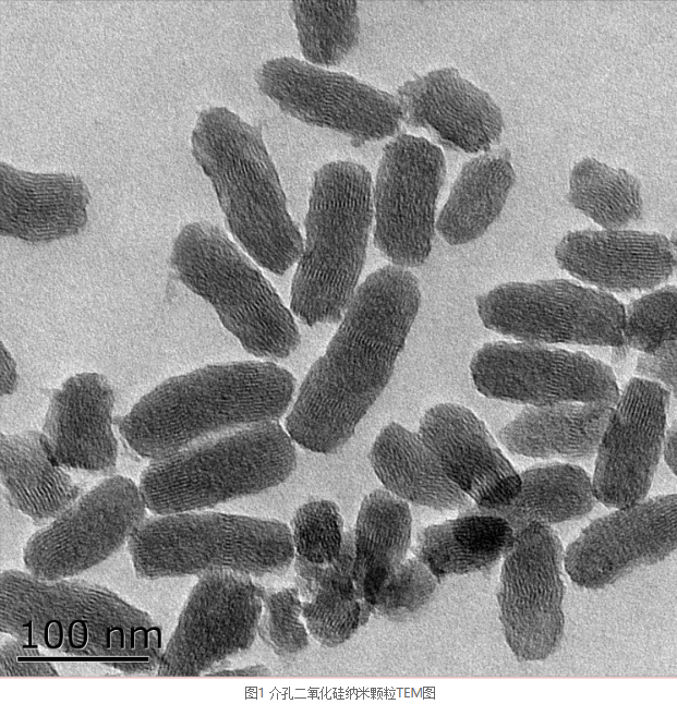 介孔二氧化硅纳米棒