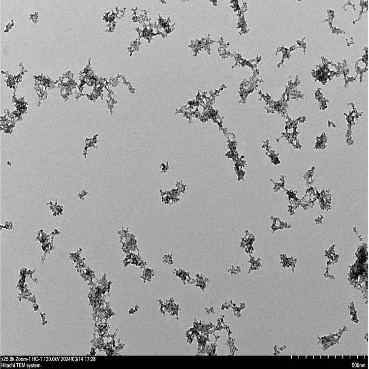 壳聚糖硫化铜纳米颗粒