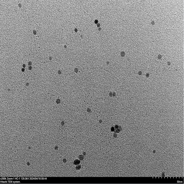 锰氧化物纳米颗粒