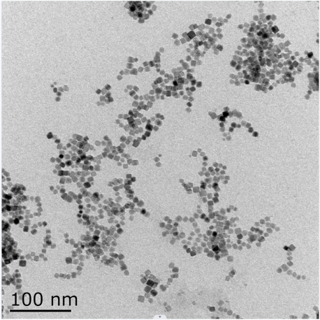 四氧化三钴纳米颗粒