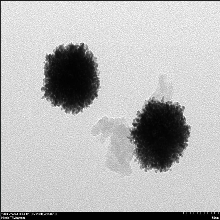 介孔铂纳米颗粒