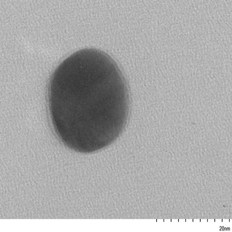 二氧化硅包覆银纳米颗粒