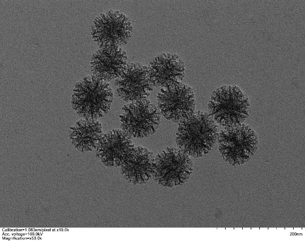 氨基大孔径介孔二氧化硅纳米颗粒