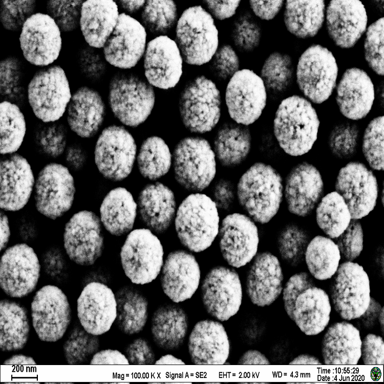 链霉亲和素修饰磁珠