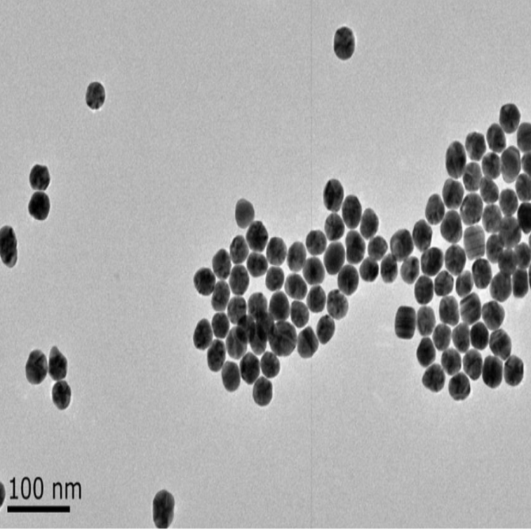 链霉亲和素（SA）修饰金纳米颗粒