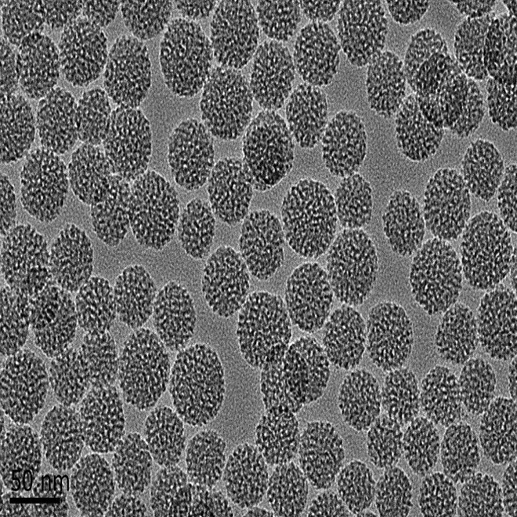 氨基介孔二氧化硅纳米颗粒
