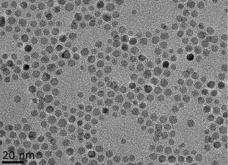 羧基磁性纳米颗粒（5-50nm）