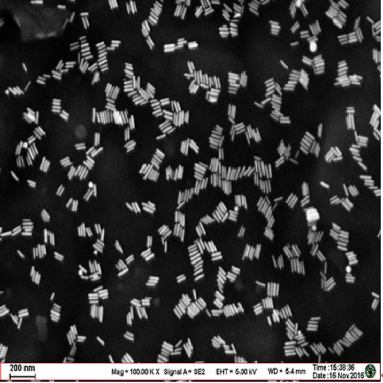 柠檬酸钠修饰金纳米棒